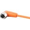 ifm Electronic EVT006 Přívodní kabel, EVT006, piny: 5, 25 m, 1 ks