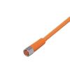 ifm Electronic EVT135 Přívodní kabel, EVT135, piny: 4, 5 m, 1 ks