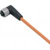 ifm Electronic EVT009 Přívodní kabel, EVT009, piny: 5, 25 m, 1 ks