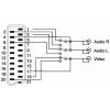 SpeaKa Professional SP-13442696 cinch / SCART adaptér [3x cinch zásuvka - 1x SCART zástrčka] černá s vypínačem