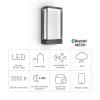 Steinel LED AUSSENLEUCHTE L 42 C ANT 085254 venkovní nástěnné LED osvětlení LED 12.6 W antracitově šedá