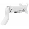 SpeaKa Professional držák na stůl pro monitor SP-MM-1030 1 Displej: (s) 43,2 cm (17) - 101,6 cm (40) bílá nastavitelná výška, naklápěcí, nakláněcí