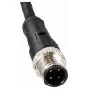 TRU COMPONENTS připojovací kabel pro senzory - aktory, TC-12833088, piny: 4, 10 m, 1 ks