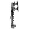 Neomounts držák na stůl pro monitor DS65S-950BL2 2 Displej: (s) 61 cm (24) - 86,4 cm (34) černá nastavitelná výška, naklápěcí, nakláněcí, otočný
