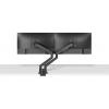 Neomounts držák na stůl pro monitor DS70-250BL2 2 Displej: (s) 43,2 cm (17) - 81,3 cm (32) černá nastavitelná výška, naklápěcí, nakláněcí, otočný