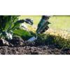 Bosch Home and Garden 06008B5300 Zahradní lopatka Pracovní šířka 85 mm