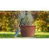 Bosch Home and Garden 06008B5300 Zahradní lopatka Pracovní šířka 85 mm