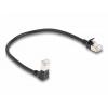 Delock 80303 RJ45 síťové kabely, propojovací kabely CAT 6A S/FTP 0.25 m černá 1 ks