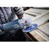 Bosch Accessories 2608901748 brusný kotouč 1 ks