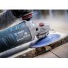Bosch Accessories 2608901750 brusný kotouč 1 ks