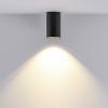 Deko Light 348242 Can IP20, 1x 7,5 W GU10, Schwarz Stropní svítidlo GU10 7.5 W černá
