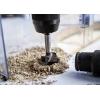 Bosch Accessories 2608901848 Forstnerův vrták, čelní fréza 20 mm 1 ks