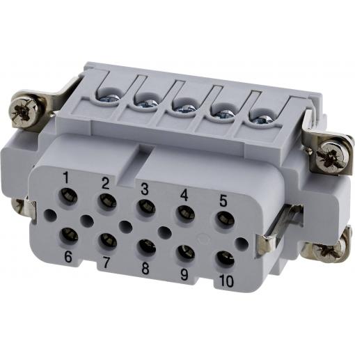 Amphenol C146 10B010 002 4-1 konektorová vložka, zásuvka postříbřené kontakty 1 ks