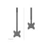 Neomounts CL35-340BL12 TV stropní držák 58,4 cm (23) - 106,7 cm (42) stropní držák, nastavitelná výška, nakláněcí, naklápěcí