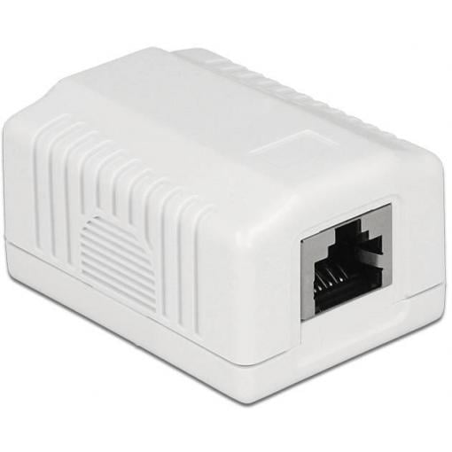 Delock síťová zásuvka na omítku CAT 6A bílá