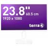 Terra 2465W LCD monitor 60.5 cm (23.8 palec)1920 x 1080 Pixel, 16:9, 5 ms, IPS LCD