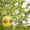 Gardigo Vogel-Reiher-Abwehr Ballon, 60094OFINT, plašič ptáků Rozsah působení 40 m², 2 ks, funkce: odstrašení