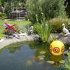 Gardigo Vogel-Reiher-Abwehr Ballon, 60094OFINT, plašič ptáků Rozsah působení 40 m², 2 ks, funkce: odstrašení