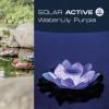 FIAP 3206-2 SOLAR ACTIVE WaterLily Purple solární dekorativní osvětlení květina LED pevně vestavěné LED nachová