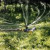 Fiskars 1023657 sprinkler