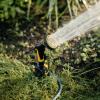 Fiskars 1070830 Comfort sprinkler