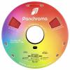 Polymaker CA04013 Panchroma™ Matte vlákno pro 3D tiskárny PLA plast Matná, Nižší obsah plastů 1.75 mm 1000 g Vojenská červená, červená 1 ks