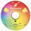 Polymaker CA05010 Panchroma™ Satin vlákno pro 3D tiskárny PLA plast Hlazený, Vysoká tuhost 1.75 mm 1000 g žlutá 1 ks
