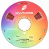 Polymaker CA02017 Panchroma™ Starlight vlákno pro 3D tiskárny PLA plast Vícebarevné, Střídání barev 1.75 mm 1000 g Starlight Mars, červená 1 ks