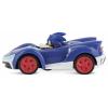 Carrera 370430022 Team Sonic Racing 1:43 RC model auta elektrický silniční model