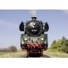 TRIX H0 25029 Parní lokomotiva DR. 18 134 H0