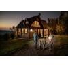 OSRAM HOMELIGHTING Floodlight Essential Sensor 200W 4000K 4099854430015 venkovní LED reflektor s PIR detektorem 200.00 W Barvy světla (LED svítidlo): studená