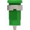 Electro PJP 3275-C-CD1-V bezpečnostní vestavná zásuvka 4 mm zelená 1 ks