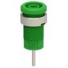 Electro PJP 3267-C-CD1-V bezpečnostní vestavná zásuvka 4 mm zelená 1 ks