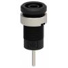 Electro PJP 3267-C-CD1-N bezpečnostní vestavná zásuvka 4 mm černá 1 ks