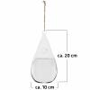 Gardigo 66900INT mucholapka (š x v) 100 mm x 200 mm 1 ks