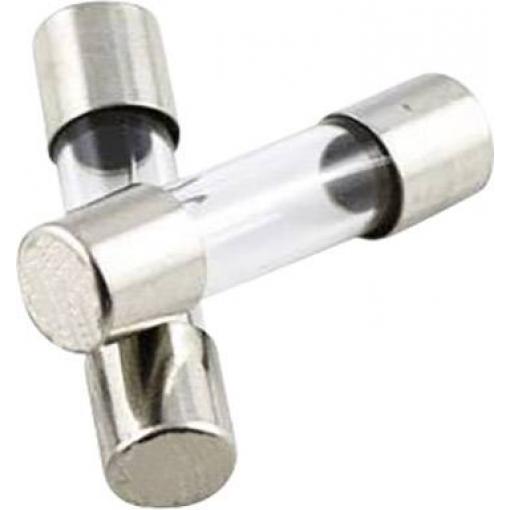 TRU COMPONENTS 1576536 TC-520.619 1,6A trubičková pojistka (Ø x d) 5 mm x 20 mm 1.6 A 250 V F rychlá Množství 1 ks