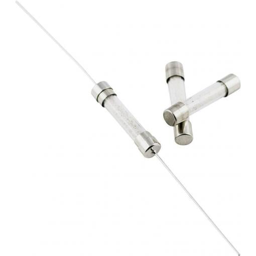 TRU COMPONENTS 1576679 TC-525627 trubičková pojistka (Ø x d) 5 mm x 25 mm 10 A 250 V F rychlá Množství 1 ks