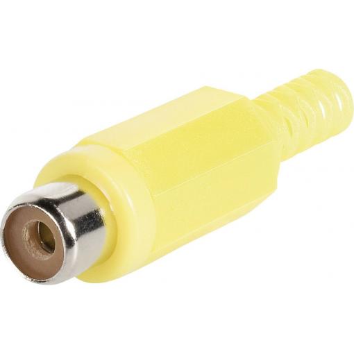 TRU COMPONENTS 1578856 cinch konektor zásuvka, rovná Pólů: 2 bílá 1 ks