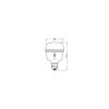 OSRAM HOMELIGHTING 4058075845800 osvětlení pro růst rostlin E27 20 W 1 ks