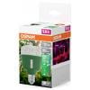 OSRAM HOMELIGHTING 4058075845800 osvětlení pro růst rostlin E27 20 W 1 ks