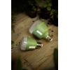 OSRAM HOMELIGHTING 4058075845787 osvětlení pro růst rostlin E27 10 W 1 ks