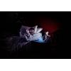 OSRAM HOMELIGHTING Nightlux Touch Rabbit USB 4099854536656 LED noční světlo