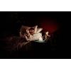 OSRAM HOMELIGHTING Nightlux Touch Rabbit USB 4099854536656 LED noční světlo