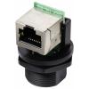 TRU COMPONENTS TC-13543660, zásuvkový modul RJ45, černá, 1 ks