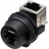 TRU COMPONENTS TC-13543660, zásuvkový modul RJ45, černá, 1 ks