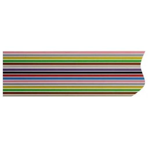 Rautronic FB2628127B plochý kabel Rastr (rozteč): 1.27 mm 26 x 0.09 mm² metrové zboží