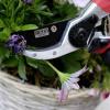 Siena Garden CG2020 zahradní nůžky 21.5 cm bypass