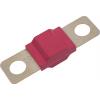 TRU COMPONENTS TC-13545880 pojistka 50 A 80 V/DC Množství 10 ks Bulk