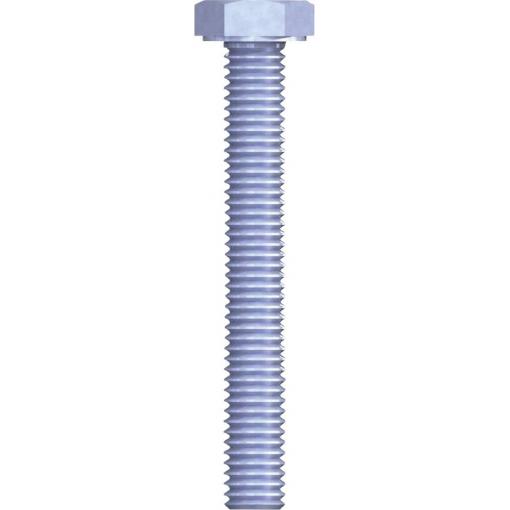 Reisser 3756 sada závitových šroubů 8 mm 40 mm vnější šestihran 100 ks