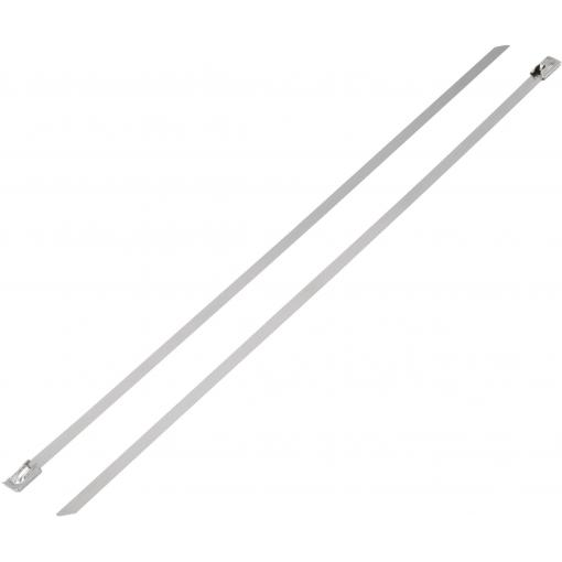 TRU COMPONENTS 1592753, TC-BST-300L203, stahovací pásky, 7.90 mm, 300 mm, stříbrná, 1 ks